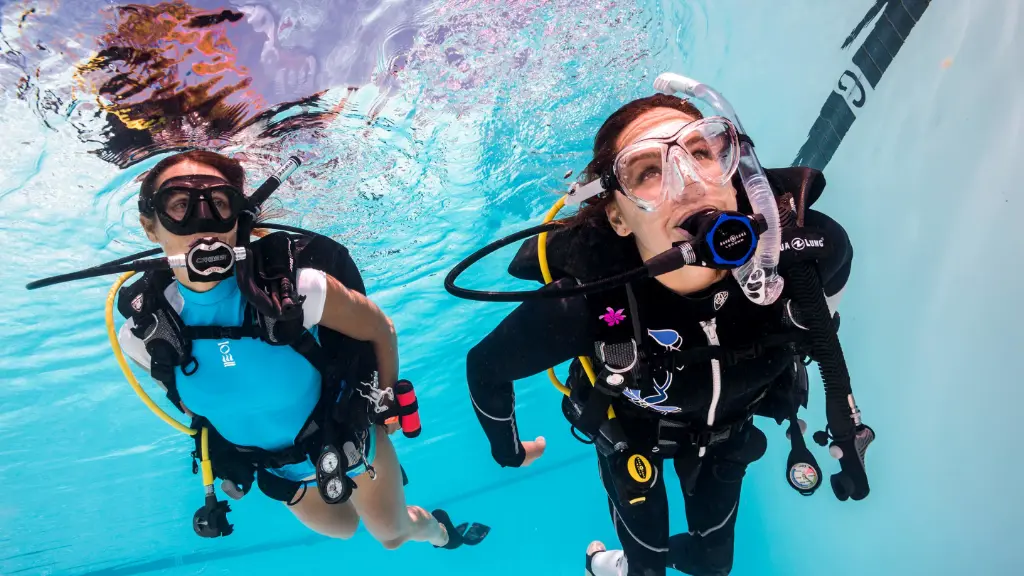 Adaptive Support Diver
