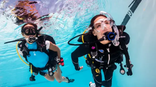 Adaptive Support Diver