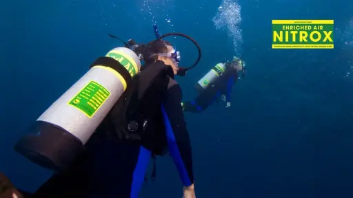 Openwater Diver with Nitrox 