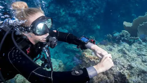PADI Scuba Diver Course