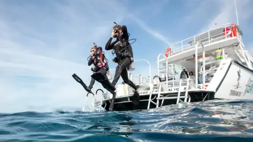01 day diving by boat